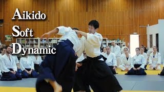 合気道 しなやかに動いて技を変化させる Aikido Soft and dynamic techniques