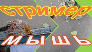 Стример мышь из меха косули