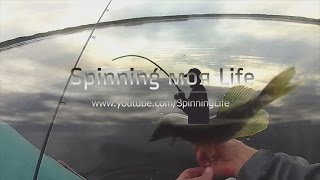 Рыбалка в Калининграде и области. Spinning моя Life Трейлер 2016 after effects