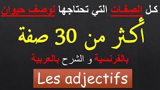 Production écrite, les adjectifs pour décrire un animal | كـل الصفـات التي تحتاجها لوصف حيوان