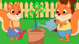 Famille d'Écureuil - Faire Pousser Des Oranges Animé 2022 en Français