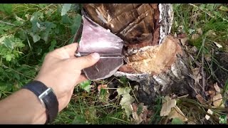 Как нельзя ездить на рыбалку