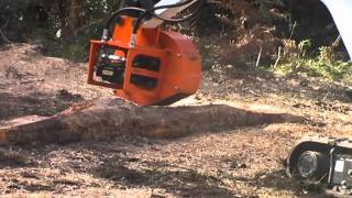Bobcat Stump Grinding