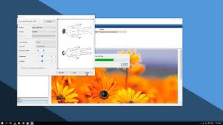 Windows 10 - How to Scan a Document or Photo