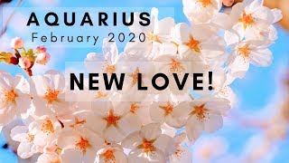 AQUARIUS: New Love!  February 2020