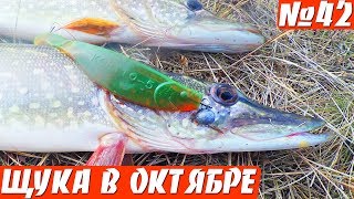 Щука осенью на силикон. Рыбалка на щуку в октябре