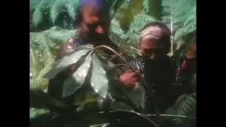 Рэй Брэдбери - Нескончаемый дождь - 59. Полная версия,фантастика.