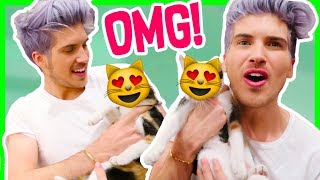 MY NEW KITTY!?