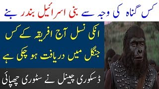 bani Israel bandar kesy bnay | Bani Israel per Allah Ka Azab | Limelight Studio
