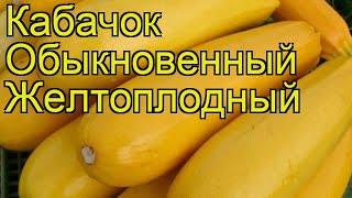 Кабачок обыкновенный Желтоплодный. Краткий обзор, описание характеристик Zheltoplodnyi