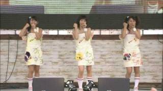 ＧＰＦ'０３スウィートドーナッツ　　Ｐｅｒｆｕｍｅ