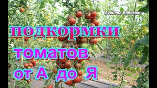 ПОДКОРМКИ  ТОМАТОВ -от А до Я .УДОБРЕНИЯ -БЕЗ ХИМИИ для УРОЖАЙНОСТИ .