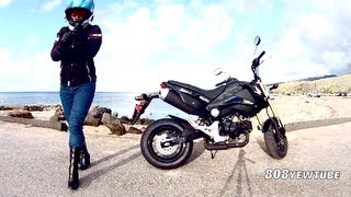 2014 Honda Grom 125, Baby!!!