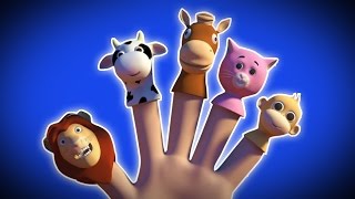 палец семьи животное | животное песня | семья палец рифмы | Animal Finger Family | Kids & Baby Song