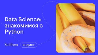 Зачем нужно машинное обучение? Интенсив по аналитике данных на Python