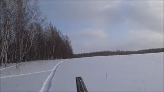 Охота на зайца с Эстонской Гончей  часть 7!!!