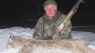 Охота на рысь в Кировской области / Lynx hunting in Kirov region