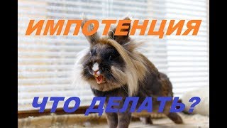 Капсулы Либидо Форте