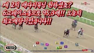 제2의 배다리뮤닝 원하셨죠? 그레이스톰으로 95.3배 오늘의 최고배당ㅅㅅ!!