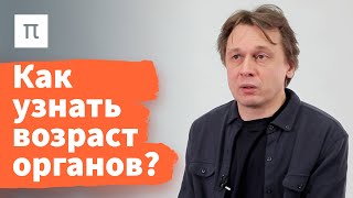 Эпигенетические часы — Вадим Гладышев 