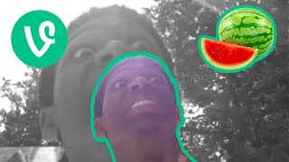 Chaz Smith WATERMELON INSIDE A WATERMELON VINE 1-Minute Loop Compilation
