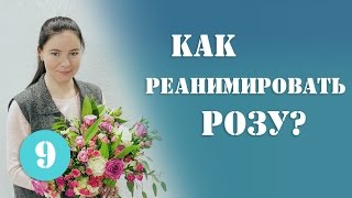 Как Реанимировать Розу. (как оживить цветы)