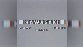 Pekeño 77 x Mesita x T-White - KAWASAKI ?