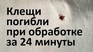 Обработка от клещей: как они гибнут от акарицидного средства