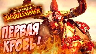 ПЕРВАЯ КРОВЬ! - Total War Warhammer #6