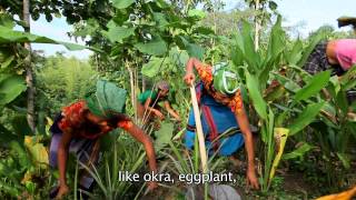 Homestead Food Production