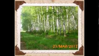 Моя деревня, край родной