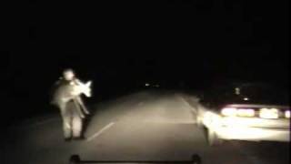 Huron County (MI) Deputy Rescues Scared Deer In The Road By Picking Her Up