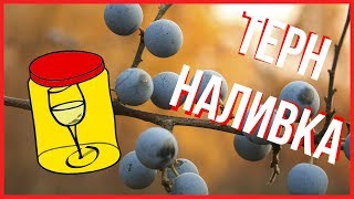 НАЛИВКА ИЗ ТЕРНА РЕЦЕПТ + ВАРЕНЬЕ ДЕТЯМ