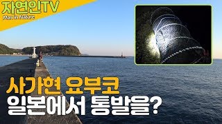 한국 통발을 일본에서 던졌더니...!! 통발낚시 呼子で魚キラーを仕掛けてみた。Fish Trap
