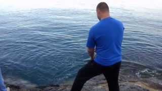 Вечерний клев в Алуште, Утес, 22.05.2013 Rockfishing in city of Alushta