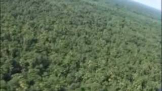 Indiens Amazonie