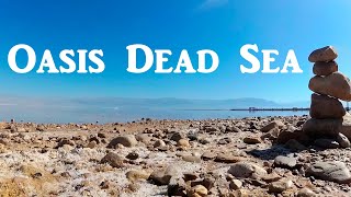 Oasis Dead Sea Ein Bokek Dead Sea