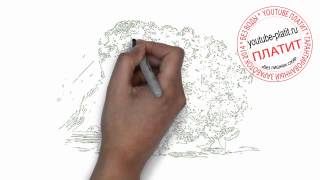 Как нарисовать цветную капусту карандашом