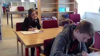 "Hårde ord koster dyrt"Tal ordentligt, Hørsholm lille skole, 8 turkis 2013