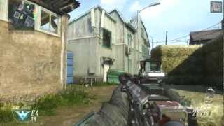 Black Ops 2: FULL AUTO FAL gameplay ! TDM on Standoff