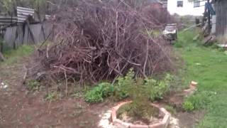 природосообразное земледелие.Восстановление плодородия почвы.Часть 1.