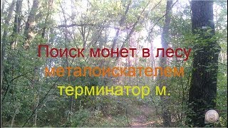 Поиск монет в лесу металоискателем терминатор м от Фортуны