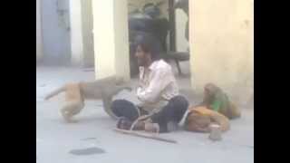 Funny Video - Những pha hài hước cười bể bụng 7