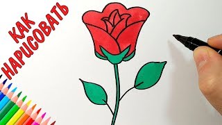 Как нарисовать РОЗУ, Легкие рисунки для срисовки
