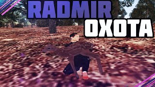 ОХОТА RADMIR CRMP l 100К в ЧАС НА ИЗИ!!!