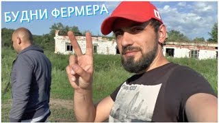 Будни фермера #5 Индюки Биг-6 (Big-6).Птицеводство.Комбикорм.ПК2.ПК4