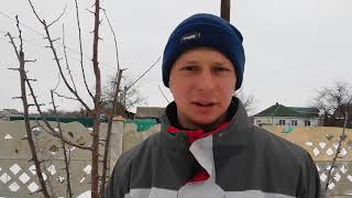 Обрезка сливы. ВЕРЕТЕНО  на косточковых
