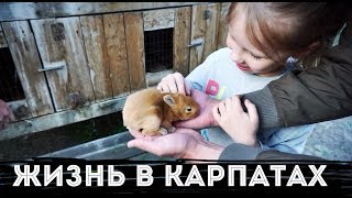 Украинское село Дом в Карпатах Домашняя ферма