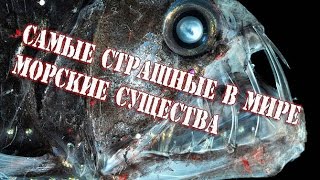 Самые страшные в мире морские существа