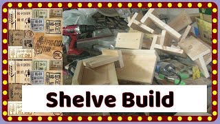 DIY Chinchilla Ledge (Advanced with Poop Guards)